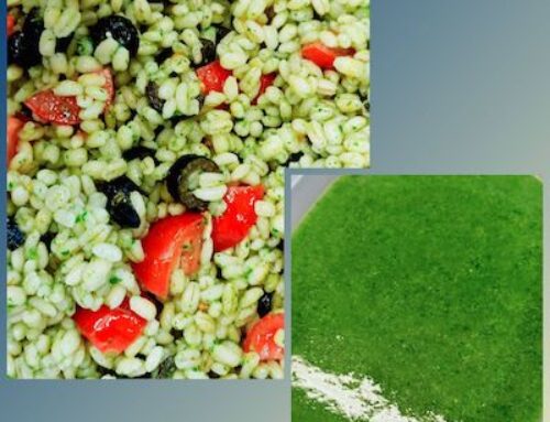 INSALATA DI ORZO CON PESTO DI RUCOLA, POMODORINI e OLIVE