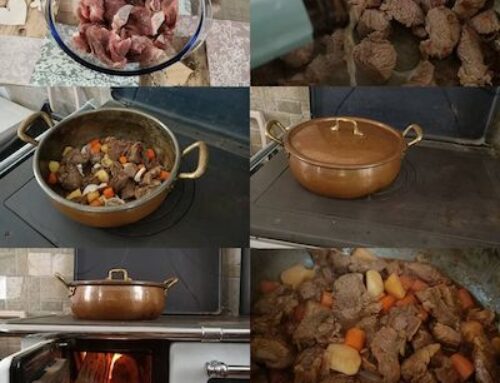SPEZZATINO DI MANZO CON PATATE E CAROTE