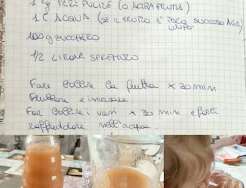 Succo di frutta fatto in casa
